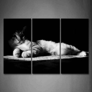 Black And White Cat Lie On Carpet On A Dark Wall Art Painting Pictures Print On Canvas Animal The Picture For Home Modern Decoration 