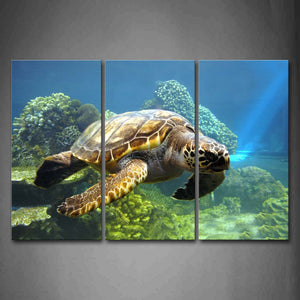 Turtle Swimming In Bottom Of Sea Wall Art Painting The Picture Print On Canvas Animal Pictures For Home Decor Decoration Gift 