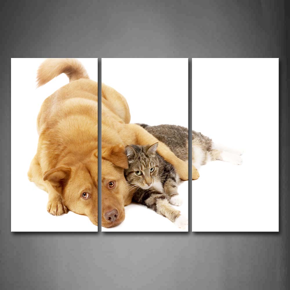 Yellow Dog Lie With A Cat In White Background Wall Art Painting The Picture Print On Canvas Animal Pictures For Home Decor Decoration Gift 