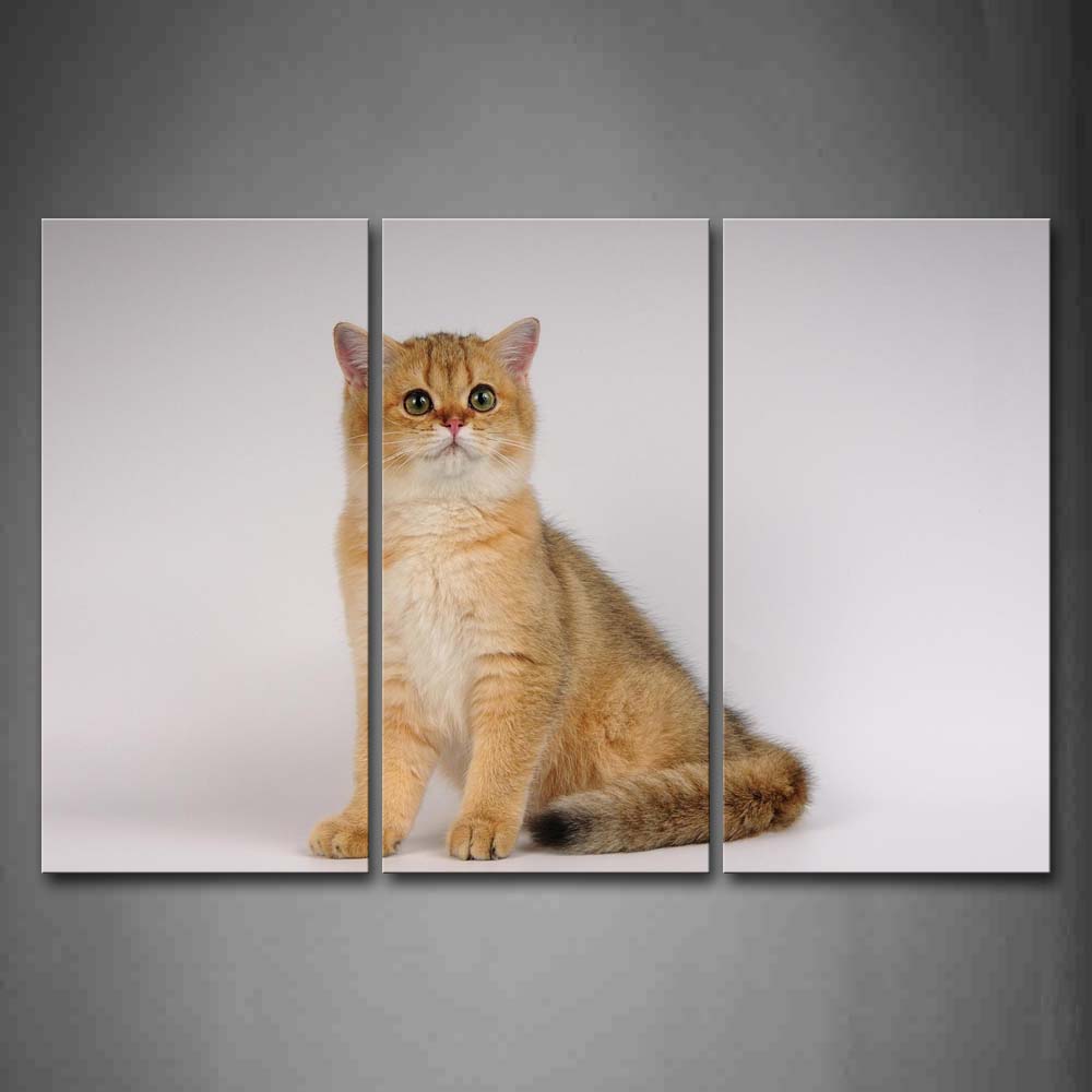 Cute Cat White Background Wall Art Painting The Picture Print On Canvas Animal Pictures For Home Decor Decoration Gift 