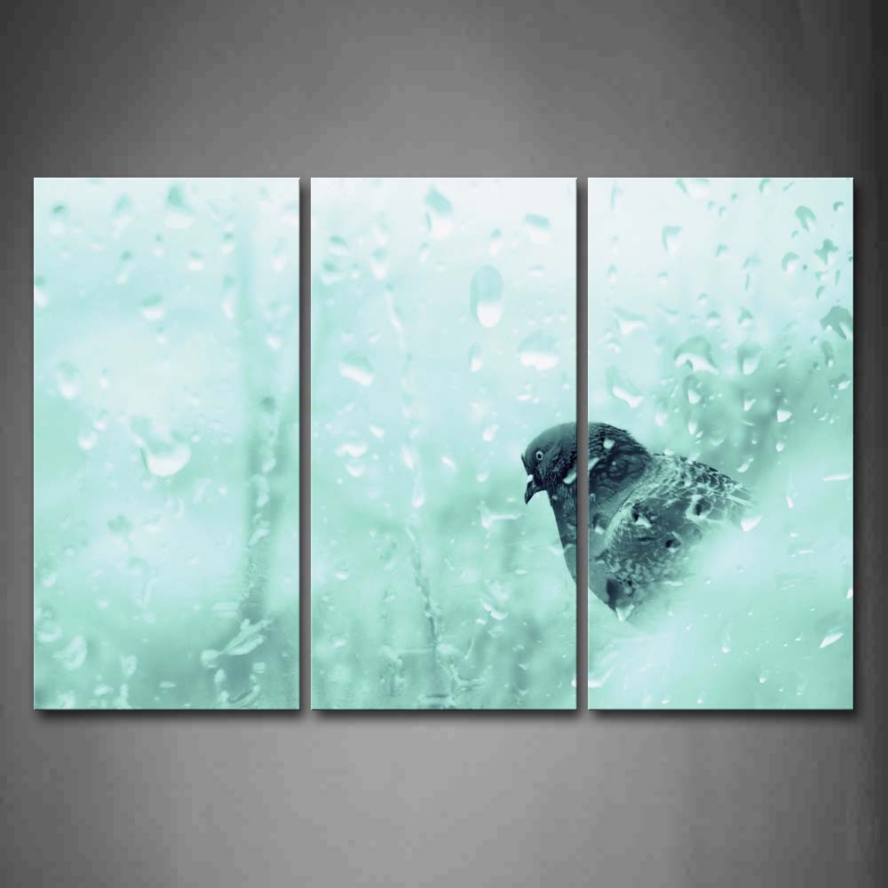 Pigeon Water Glass Wall Art Painting The Picture Print On Canvas Animal Pictures For Home Decor Decoration Gift 