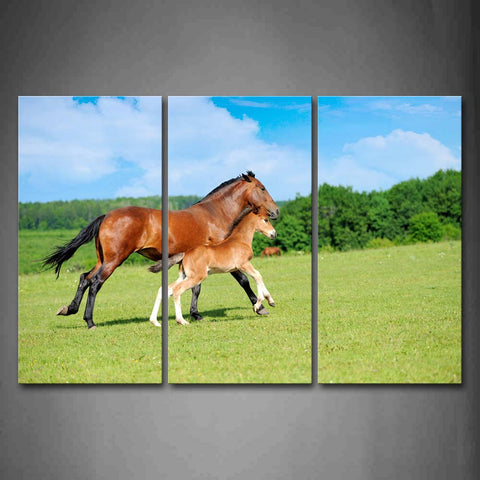 Mother Horse And Young Horse Running On Lawn Wall Art Painting Pictures Print On Canvas Animal The Picture For Home Modern Decoration 