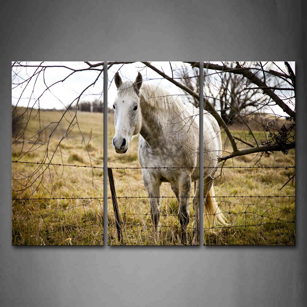 Gray Horse Stand On Grassland Near Fence And Dry Tree Wall Art Painting Pictures Print On Canvas Animal The Picture For Home Modern Decoration 