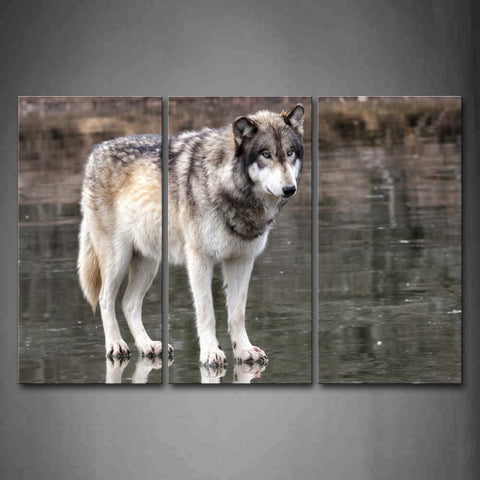 Wolf Stand On Land Wall Art Painting The Picture Print On Canvas Animal Pictures For Home Decor Decoration Gift 