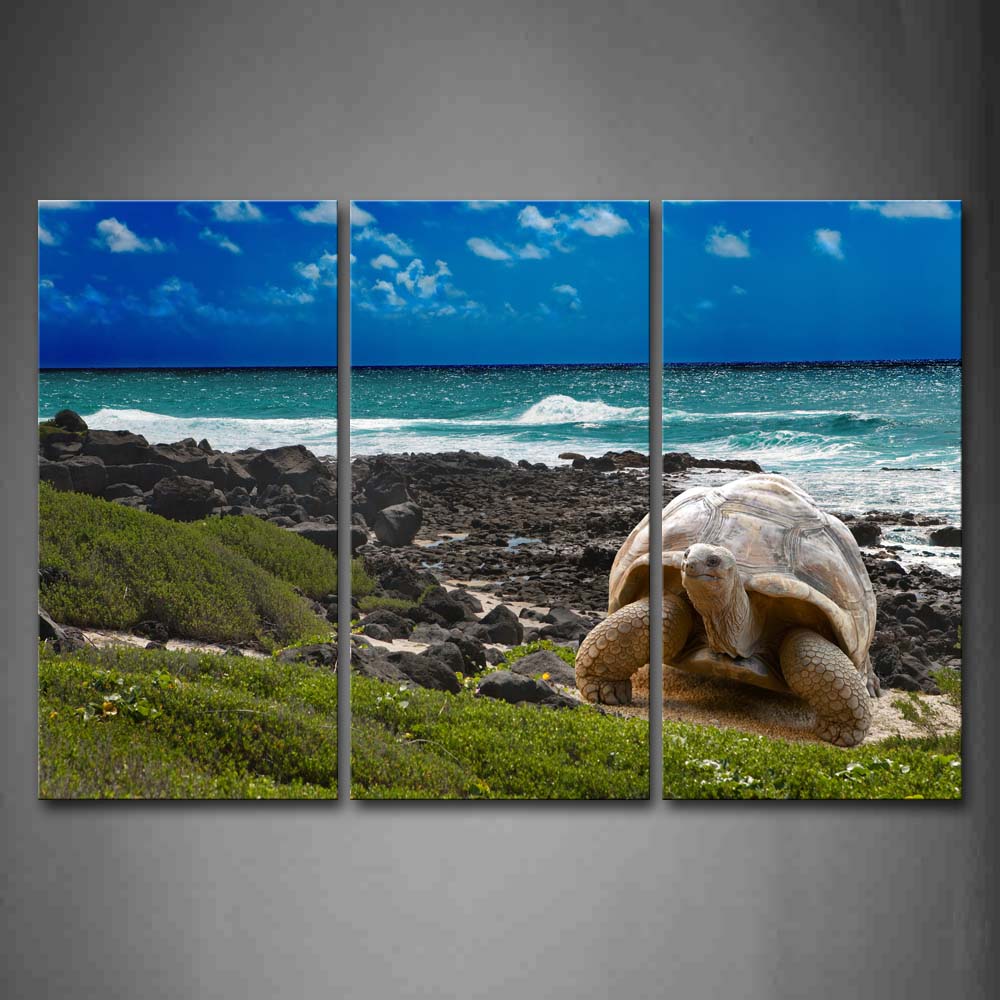 Blue Turtle Crawl Away Beach To Grass Wall Art Painting Pictures Print On Canvas Animal The Picture For Home Modern Decoration 