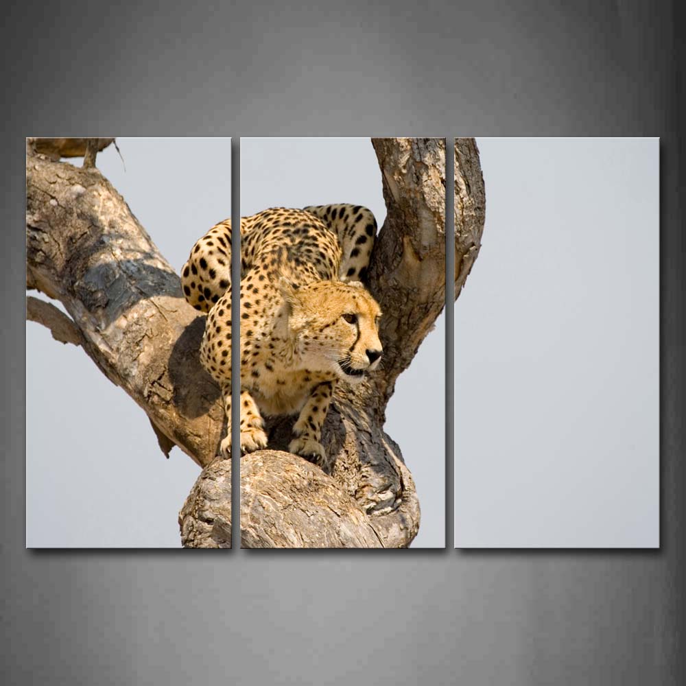 Cheetah Crawl On Dry Branch Wall Art Painting The Picture Print On Canvas Animal Pictures For Home Decor Decoration Gift 