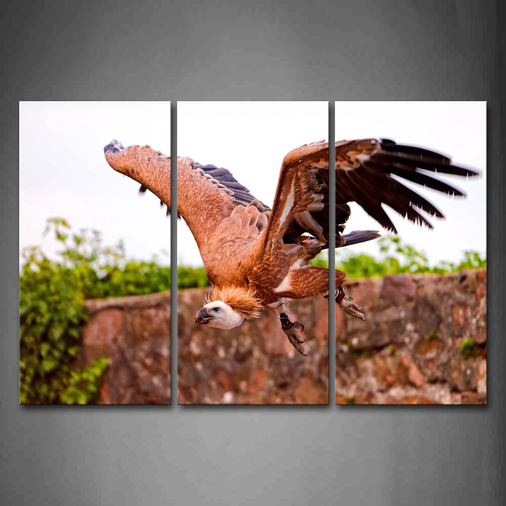 Vulture Fly Plant Wall Art Painting Pictures Print On Canvas Animal The Picture For Home Modern Decoration 