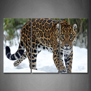 Jaguar Walk On Snowfield Trees Wall Art Painting Pictures Print On Canvas Animal The Picture For Home Modern Decoration 