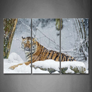 Tiger Lie On Snowfield Tree Snowing Wall Art Painting The Picture Print On Canvas Animal Pictures For Home Decor Decoration Gift 