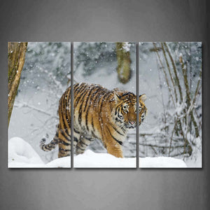 Tiger Walk On Snowfield Snowing Tree Wall Art Painting Pictures Print On Canvas Animal The Picture For Home Modern Decoration 