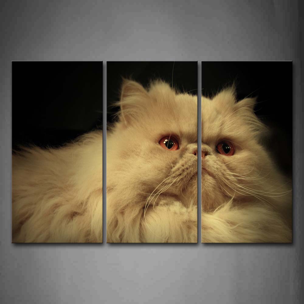 White Cat Portrait Wall Art Painting The Picture Print On Canvas Animal Pictures For Home Decor Decoration Gift 