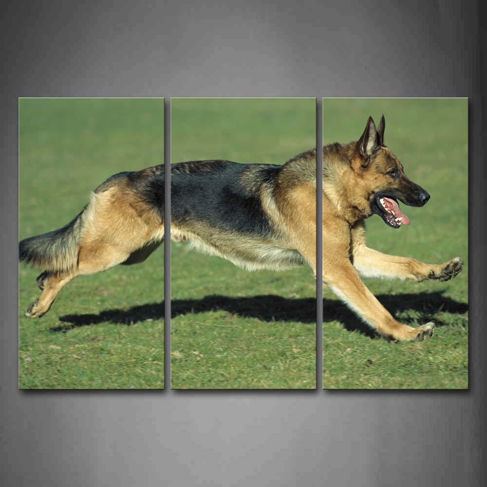 German Shepherd Running On Grassland Wall Art Painting Pictures Print On Canvas Animal The Picture For Home Modern Decoration 