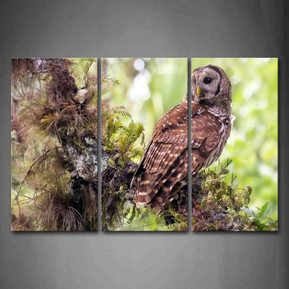 Owl Stand On Branch Moss Look Back Wall Art Painting The Picture Print On Canvas Animal Pictures For Home Decor Decoration Gift 