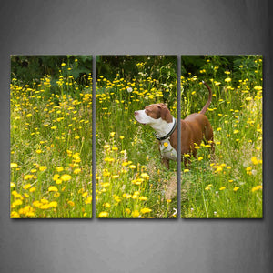 Yellow And White Dog Stand In Anthemy  Wall Art Painting The Picture Print On Canvas Animal Pictures For Home Decor Decoration Gift 