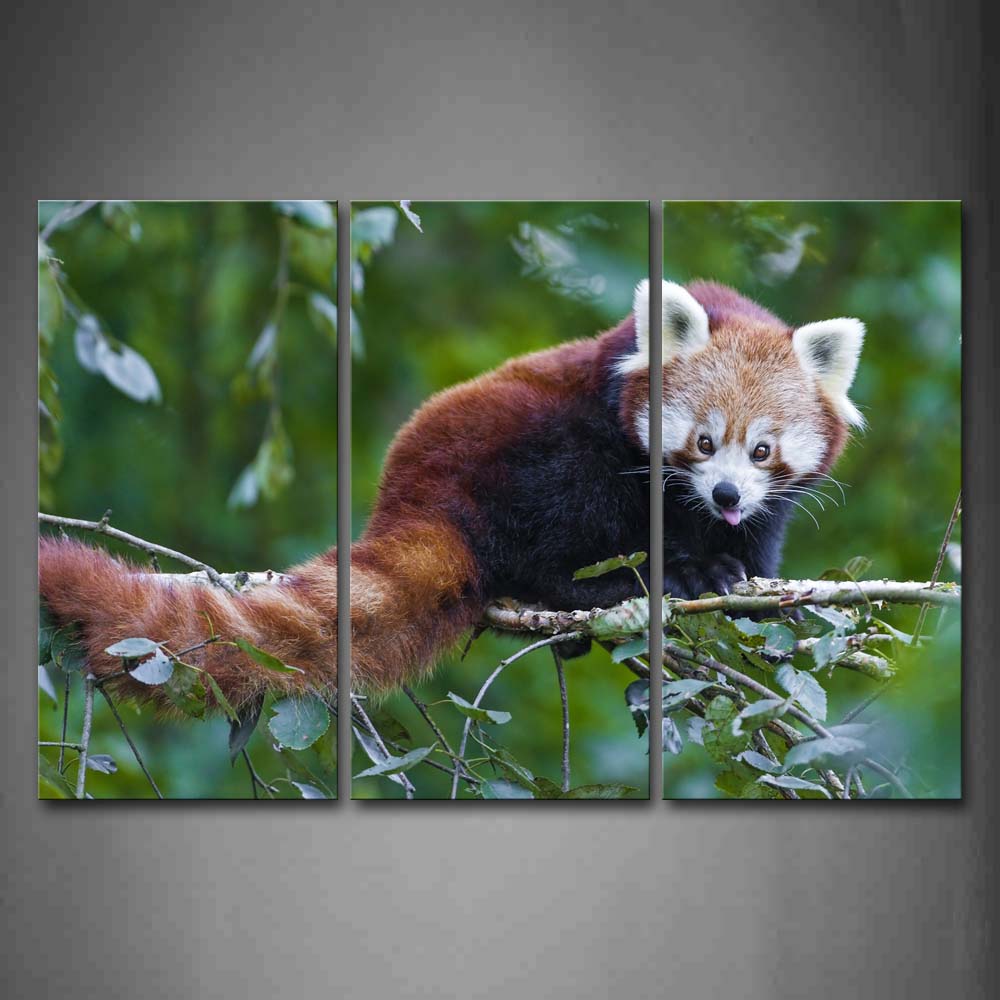 Red Panda Stand On Branch Wall Art Painting Pictures Print On Canvas Animal The Picture For Home Modern Decoration 