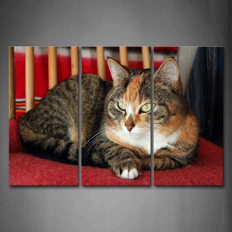 Cat Lie On Red Blanket Wall Art Painting The Picture Print On Canvas Animal Pictures For Home Decor Decoration Gift 