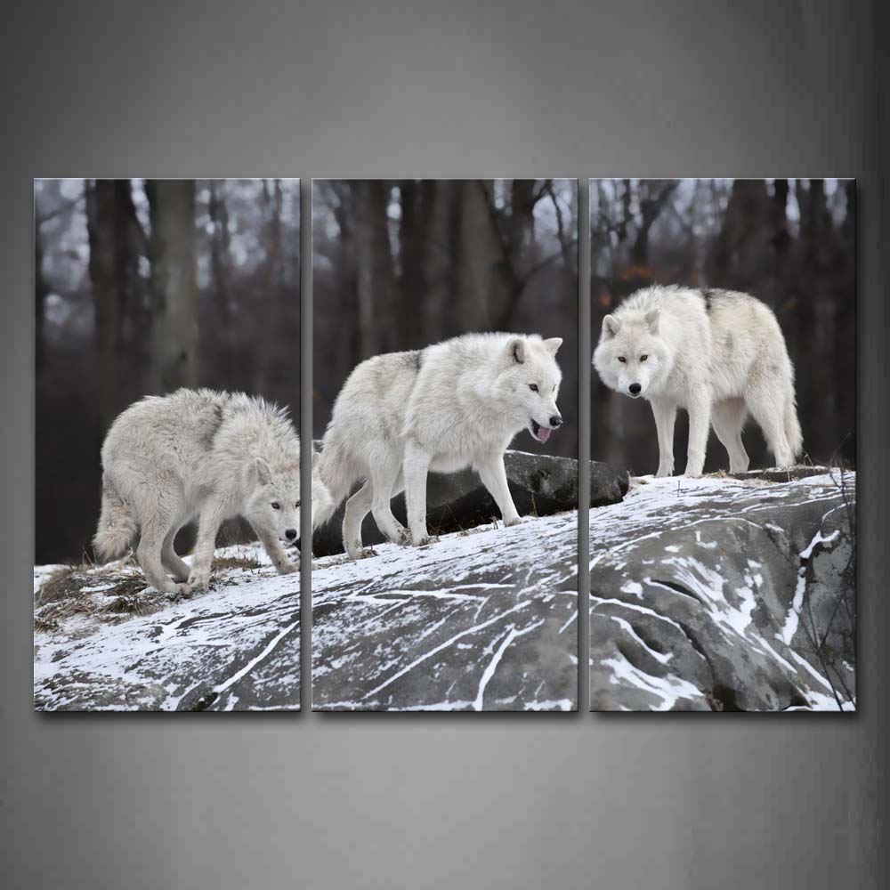 Three Wolfs Stand On Rock Snow Trees Wall Art Painting Pictures Print On Canvas Animal The Picture For Home Modern Decoration 