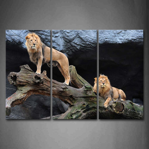 Two Lions On Dry Wood Near Rock Wall Art Painting Pictures Print On Canvas Animal The Picture For Home Modern Decoration 