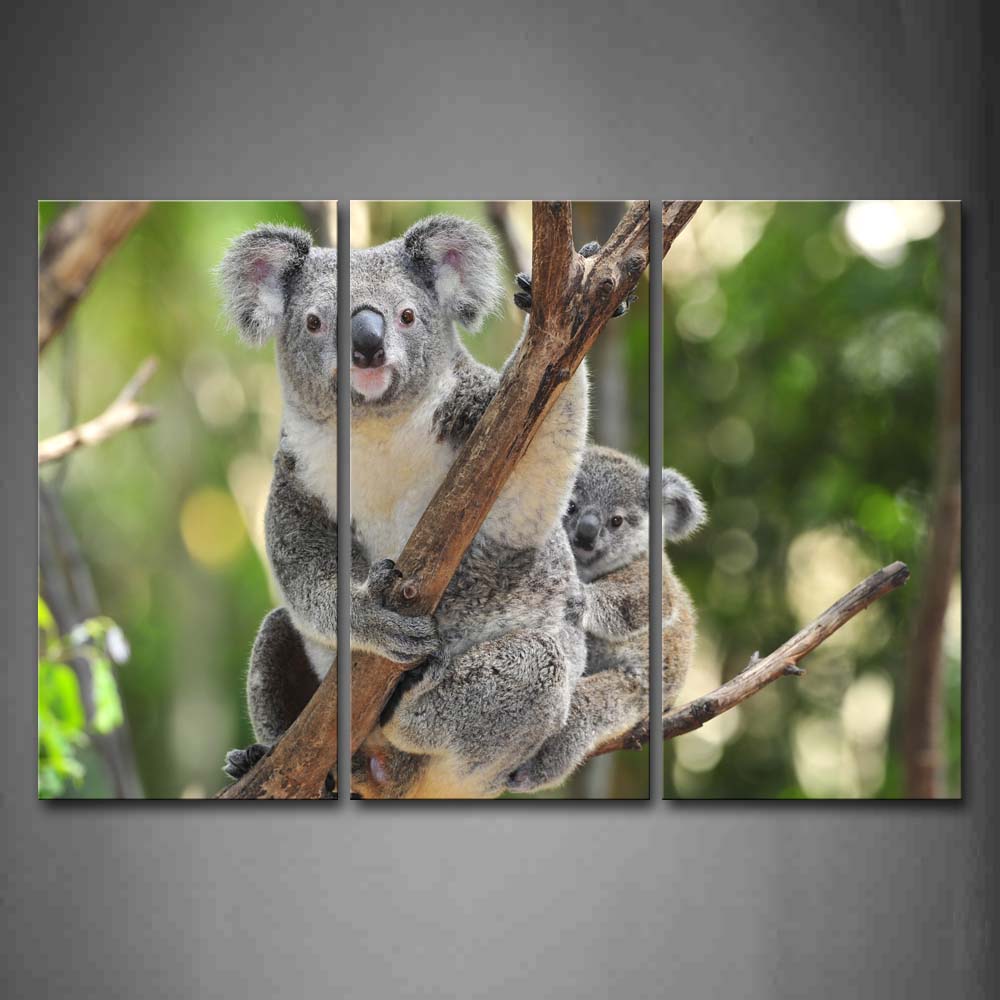 Mother Koala And Cub Stand On Branch Wall Art Painting Pictures Print On Canvas Animal The Picture For Home Modern Decoration 