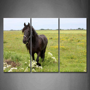 Black Horse Stand On Grassland Flower Wall Art Painting The Picture Print On Canvas Animal Pictures For Home Decor Decoration Gift 