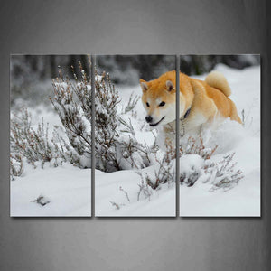 Yellow Dog Run In Snowfield Plant Wall Art Painting Pictures Print On Canvas Animal The Picture For Home Modern Decoration 