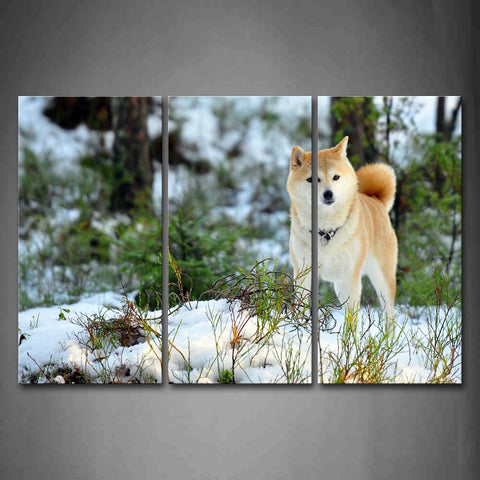 Yellow Dog Stand On Snowfield Plant Trees Wall Art Painting The Picture Print On Canvas Animal Pictures For Home Decor Decoration Gift 