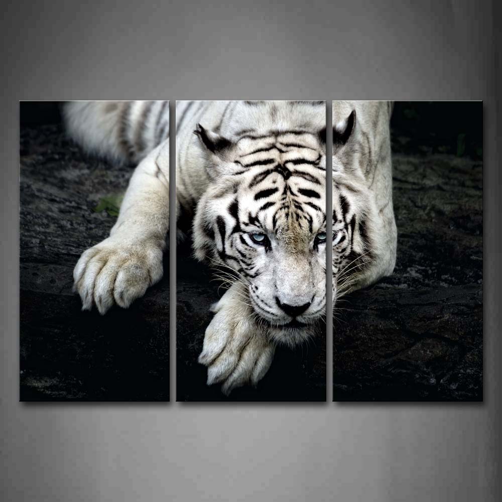 Black And White White Tiger Lie On Rock Wall Art Painting Pictures Print On Canvas Animal The Picture For Home Modern Decoration 