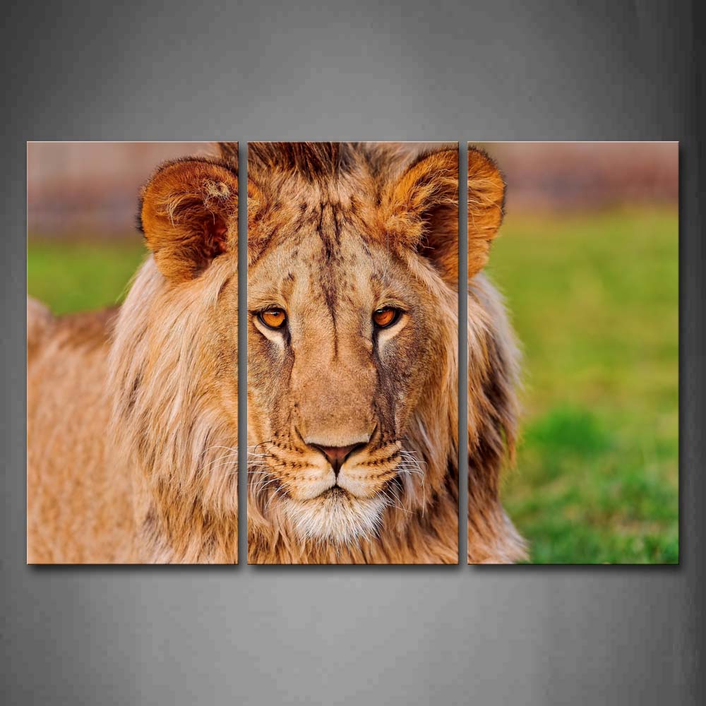 Portrait Of Lion  Wall Art Painting Pictures Print On Canvas Animal The Picture For Home Modern Decoration 