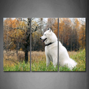 White Dog Sit In Grass Trees Autumn Wall Art Painting The Picture Print On Canvas Animal Pictures For Home Decor Decoration Gift 