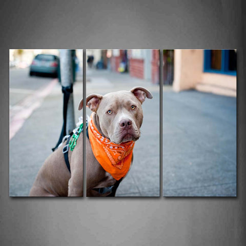 Pit Bull Sit On Street  Wall Art Painting Pictures Print On Canvas Animal The Picture For Home Modern Decoration 