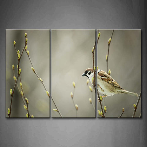 Bird Stand On Treetop Wall Art Painting Pictures Print On Canvas Animal The Picture For Home Modern Decoration 