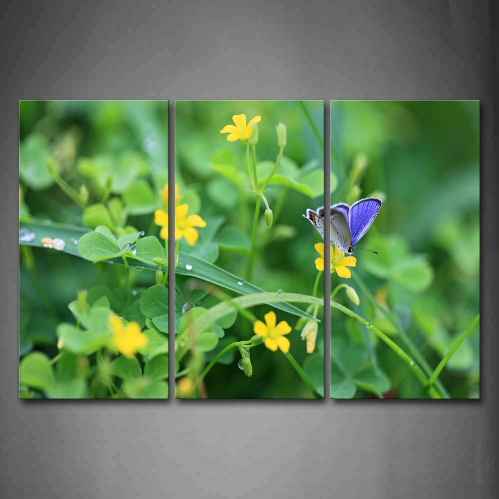 Blue Butterfly Stop On Yellow Flower Plant Wall Art Painting The Picture Print On Canvas Animal Pictures For Home Decor Decoration Gift 