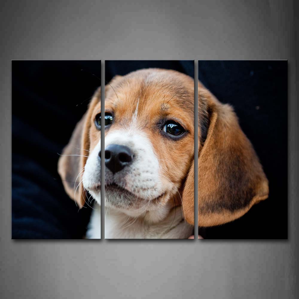 Portrait Of Yellow And White Dog  Wall Art Painting Pictures Print On Canvas Animal The Picture For Home Modern Decoration 