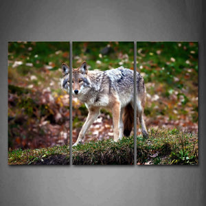 Wolf Stand On Grass Fallen Leafs Wall Art Painting The Picture Print On Canvas Animal Pictures For Home Decor Decoration Gift 