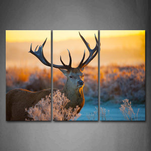 Deer Stand On Land At Dusk Plant Wall Art Painting The Picture Print On Canvas Animal Pictures For Home Decor Decoration Gift 