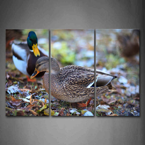 Two Ducks Stand On Land Fallen Leafs Wall Art Painting Pictures Print On Canvas Animal The Picture For Home Modern Decoration 