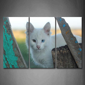 White Cat Stand Behind Wood Wall Art Painting The Picture Print On Canvas Animal Pictures For Home Decor Decoration Gift 