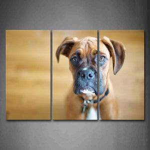 Boxer Sit On Land Portrait Wall Art Painting The Picture Print On Canvas Animal Pictures For Home Decor Decoration Gift 