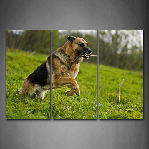 German Shepherd Running On Grass Tree Wall Art Painting Pictures Print On Canvas Animal The Picture For Home Modern Decoration 