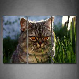 Cat In Green Grass Head Wall Art Painting Pictures Print On Canvas Animal The Picture For Home Modern Decoration 