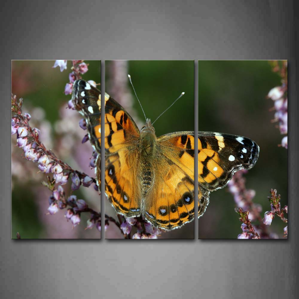 Moth Stop On Branch Flower Wall Art Painting Pictures Print On Canvas Animal The Picture For Home Modern Decoration 