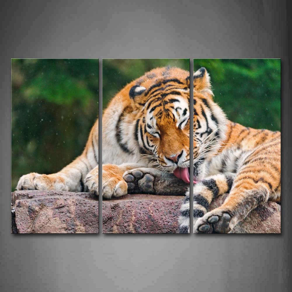 Tiger Lie On Rock  Wall Art Painting The Picture Print On Canvas Animal Pictures For Home Decor Decoration Gift 