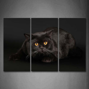 Black Cat Sit In Black Background Wall Art Painting Pictures Print On Canvas Animal The Picture For Home Modern Decoration 