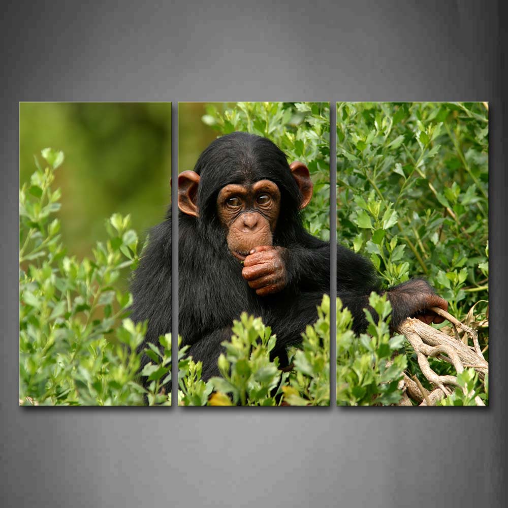 Chimpanzee Sit In Green Branch Wall Art Painting The Picture Print On Canvas Animal Pictures For Home Decor Decoration Gift 