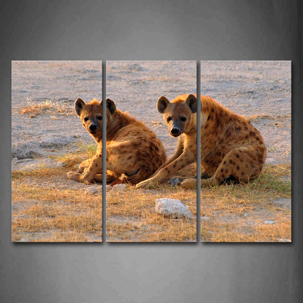 Two Hyenes Sit On  Dry Grass  Wall Art Painting Pictures Print On Canvas Animal The Picture For Home Modern Decoration 