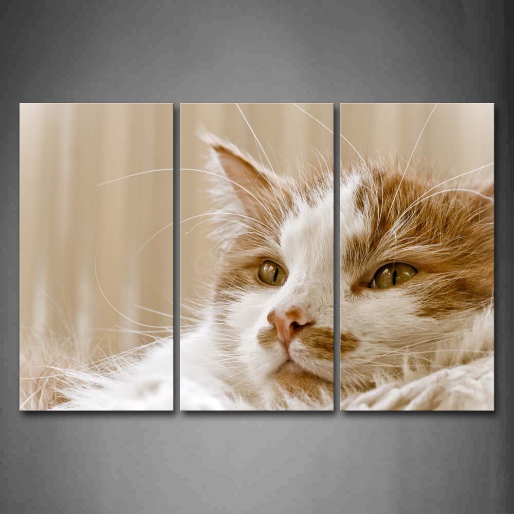 Portrait Of Yellow And White Cat Wall Art Painting The Picture Print On Canvas Animal Pictures For Home Decor Decoration Gift 