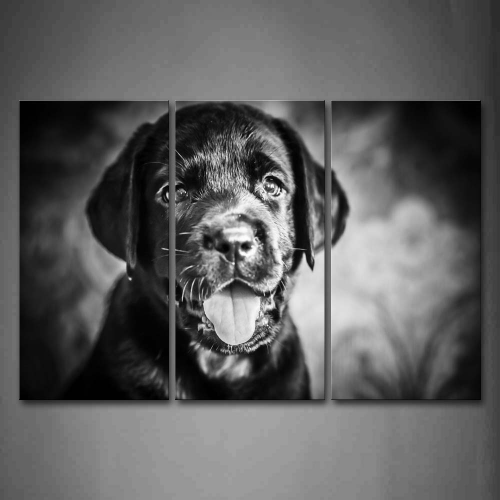 Black And White Black Dog Portrait  Wall Art Painting Pictures Print On Canvas Animal The Picture For Home Modern Decoration 