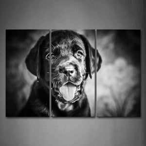 Black And White Black Dog Portrait  Wall Art Painting Pictures Print On Canvas Animal The Picture For Home Modern Decoration 