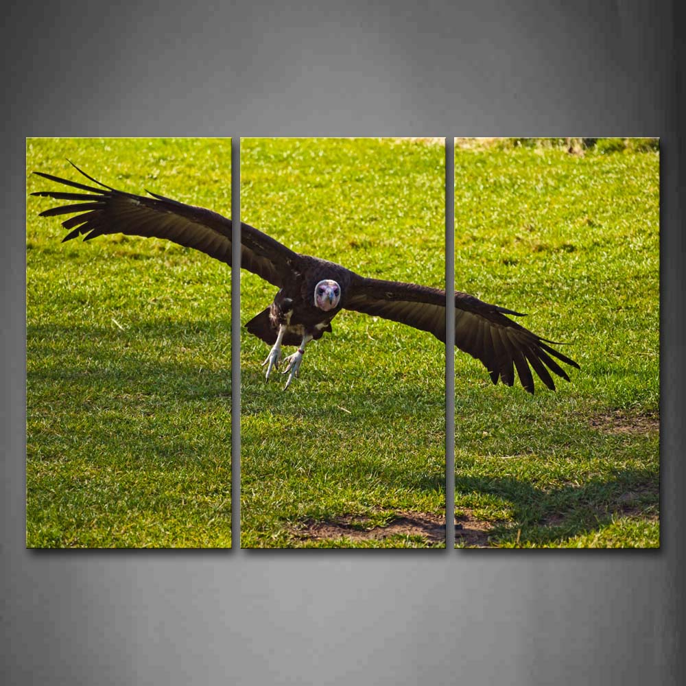 Vulture Fly Over Grassland Wall Art Painting The Picture Print On Canvas Animal Pictures For Home Decor Decoration Gift 