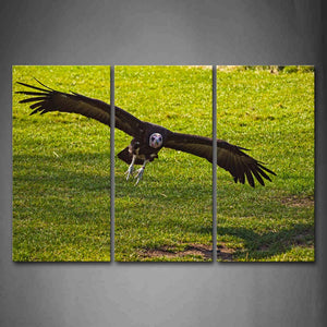 Vulture Fly Over Grassland Wall Art Painting The Picture Print On Canvas Animal Pictures For Home Decor Decoration Gift 